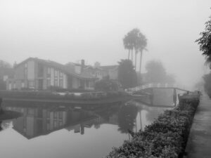 Review: A Decade of Change at the Venice Biennale