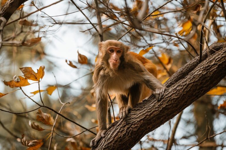 rock songs about betrayal of friendship