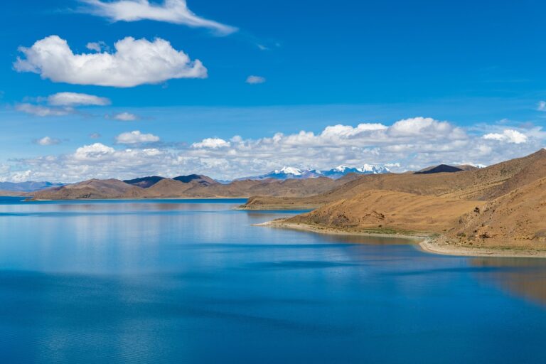 sarah h maas books in order