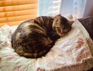 arcachdir gallery paintings from arcyart