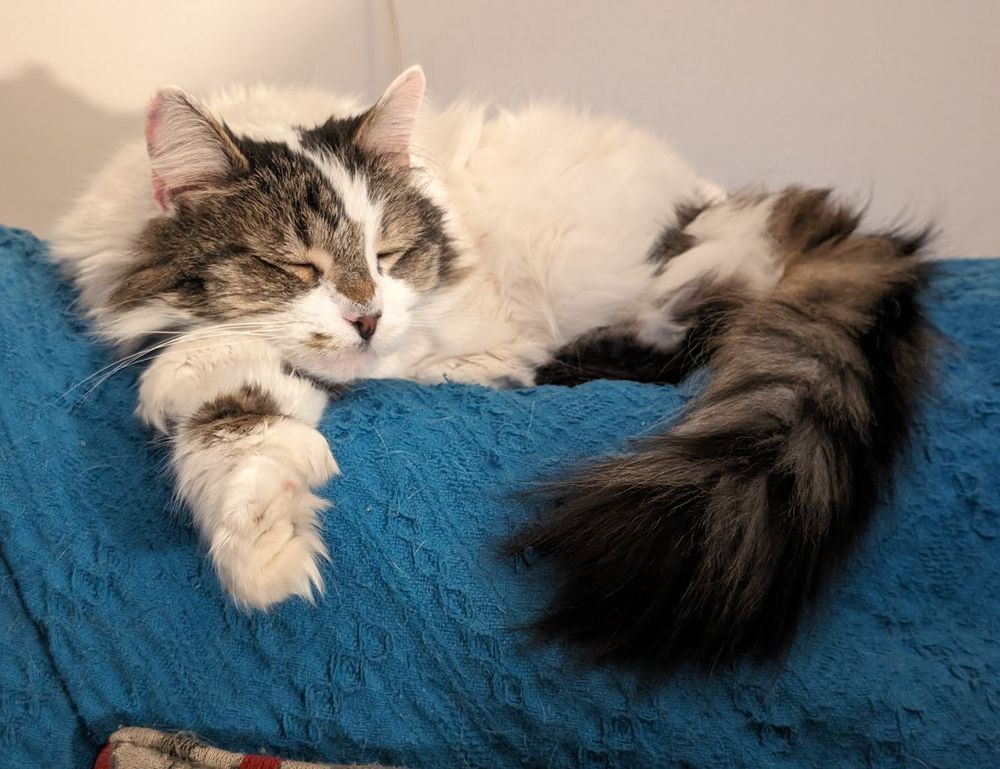 arcagallerdate gallery oil paintings by arcyart