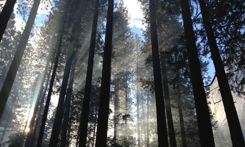 art articles artypaintgall