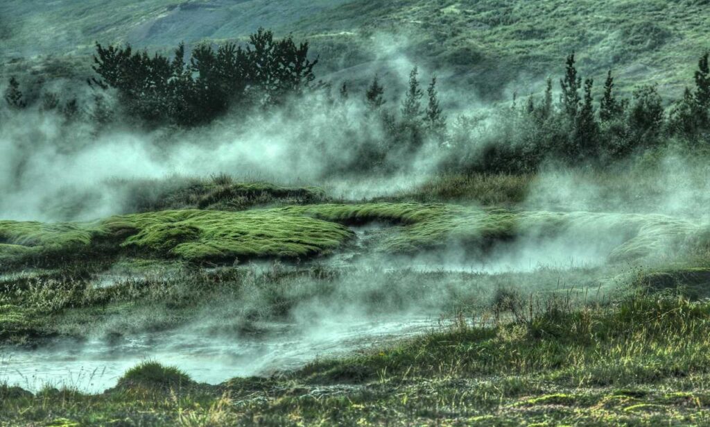 art directory artypaintgall