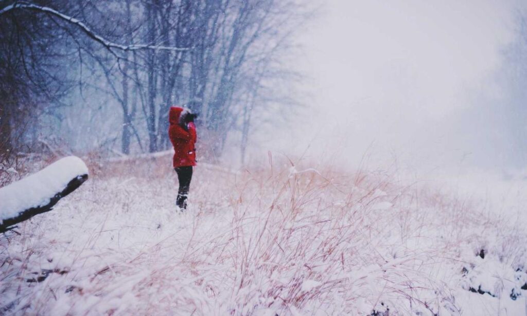 art famous articles artypaintgall