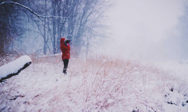 art famous articles artypaintgall