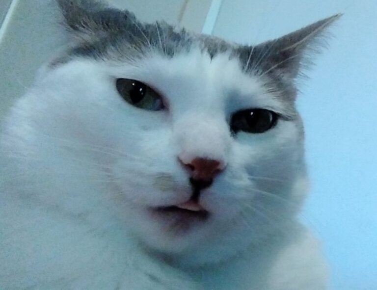 articles art artypaintgall