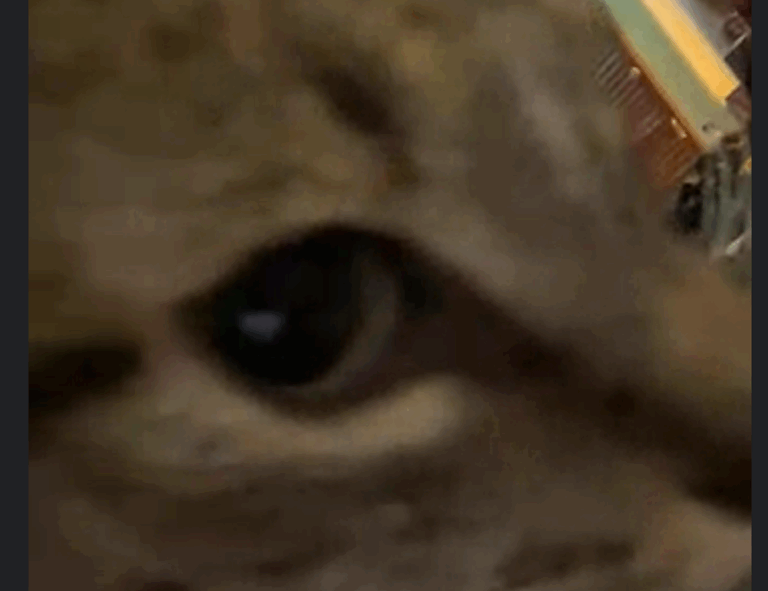 artypaintgall famous art articles by arcyart