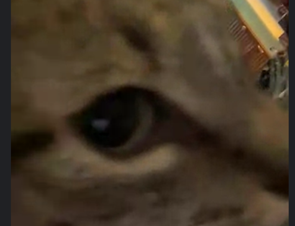 artypaintgall famous art articles by arcyart