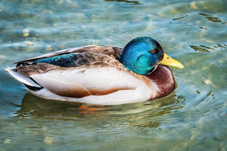 exhibition paint arcachdir