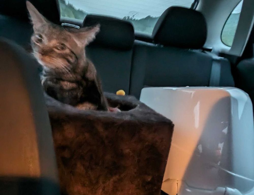 exhibition paintings arcachdir