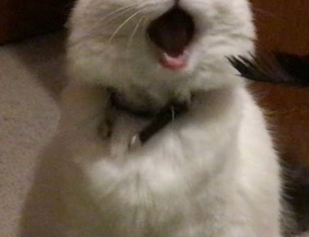 flpemblemable free emblem by freelogopng