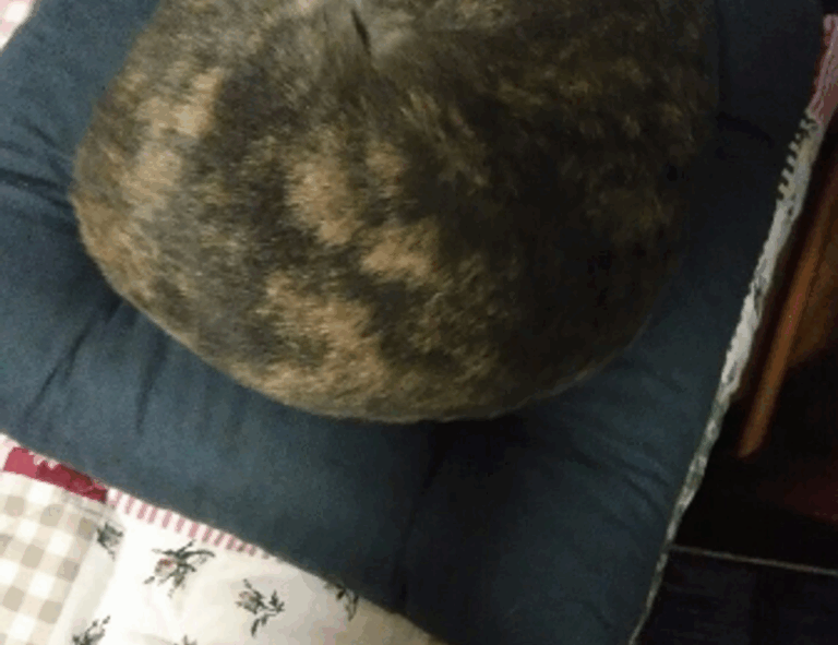 free stamps flpemblemable