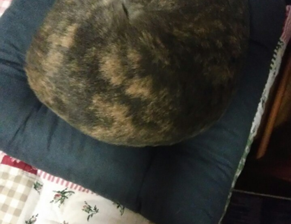 free stamps flpemblemable