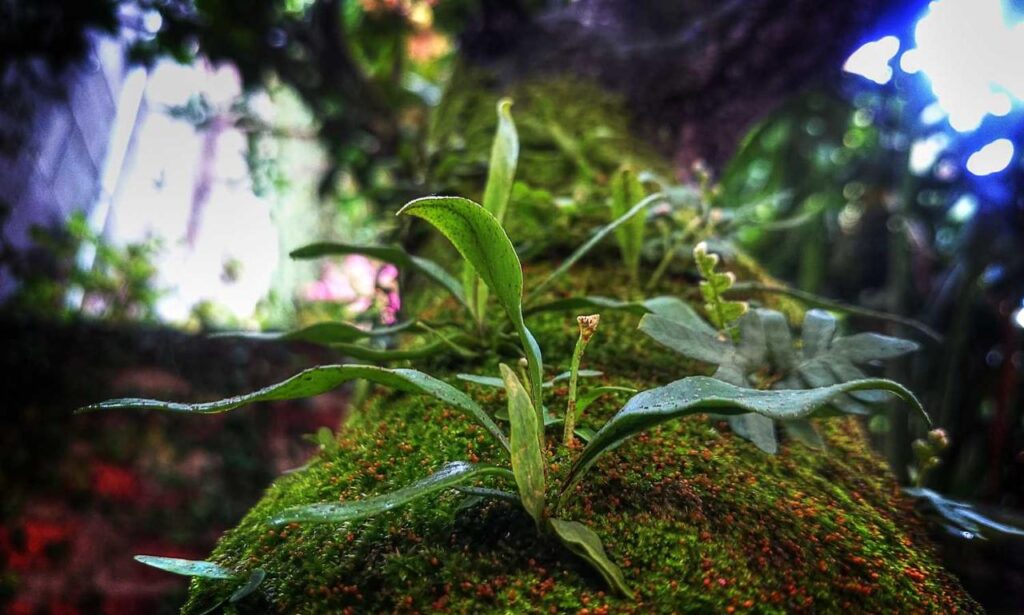 gallery oil paintings arcagallerdate