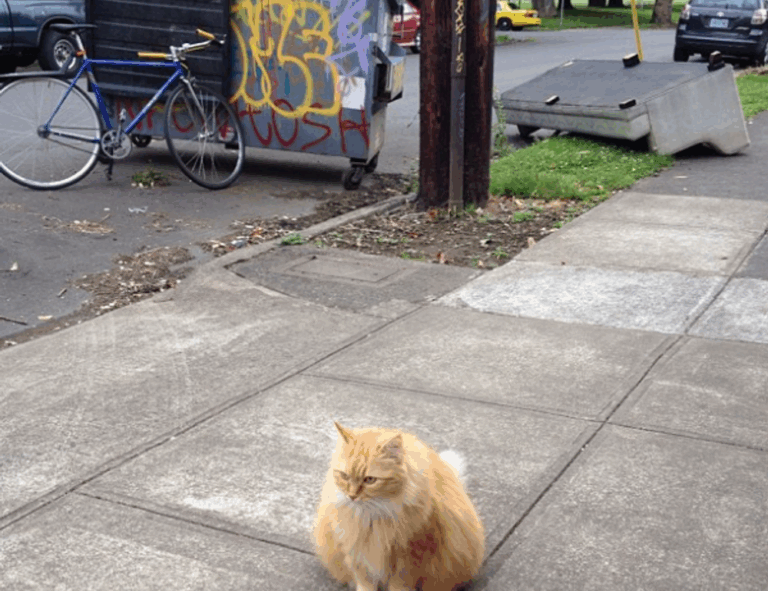 gallery paintings arcagallerdate