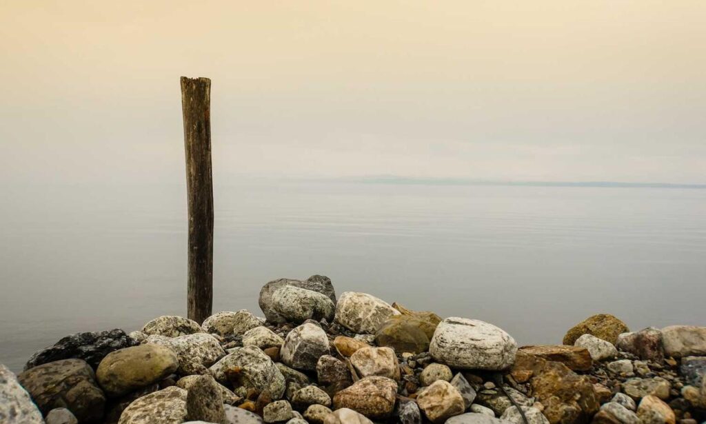 how art galleries work arcagallerdate