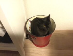 how to fix freezes in the innerlifthunt game