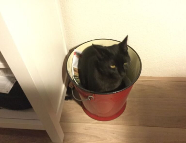 how to fix freezes in the innerlifthunt game