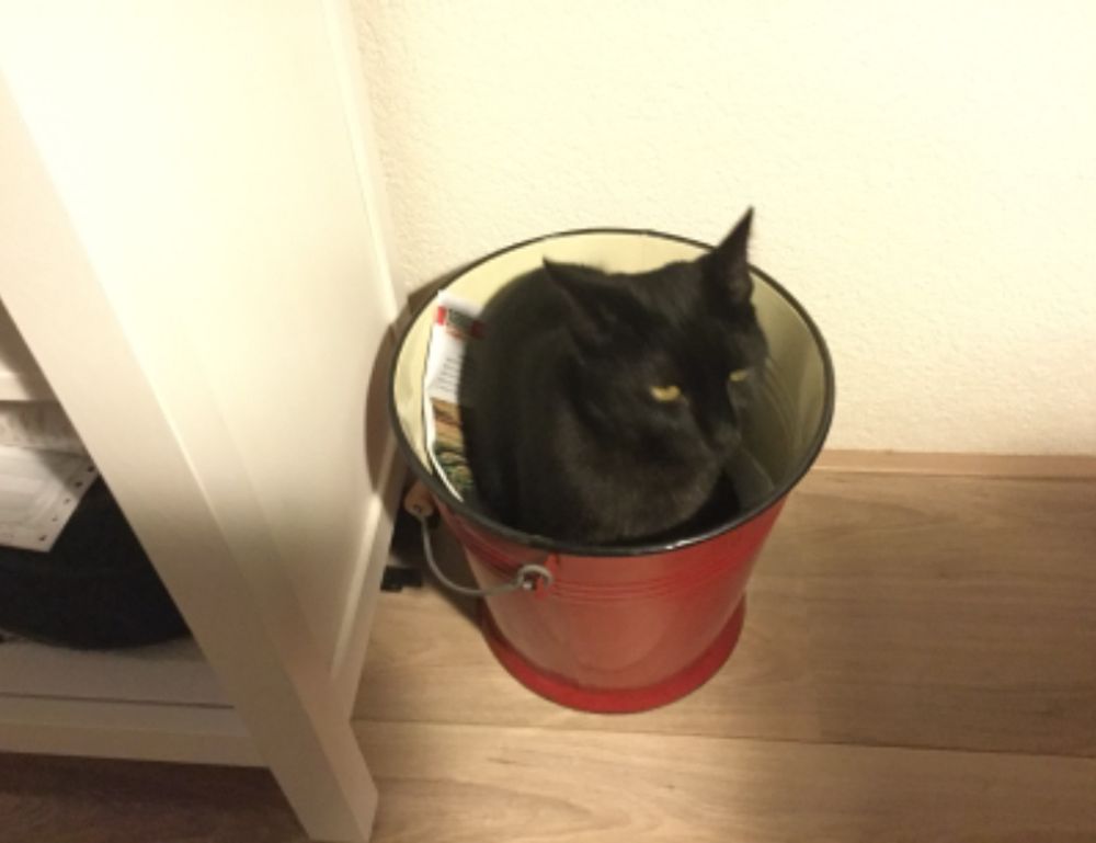 how to fix freezes in the innerlifthunt game