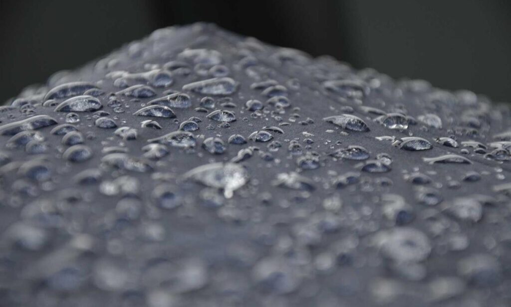 newest painting directory arcyhist