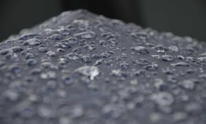 newest painting directory arcyhist