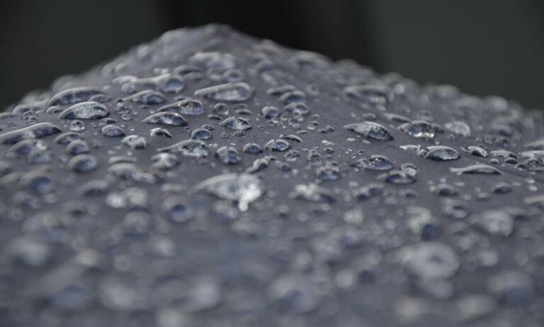 newest painting directory arcyhist