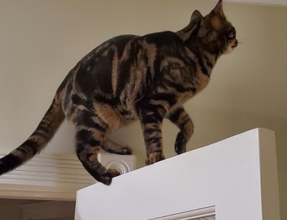 oil paint galleries arcahexchibto