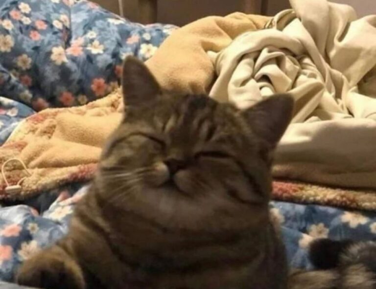 what is the best looking game grollgoza on pc