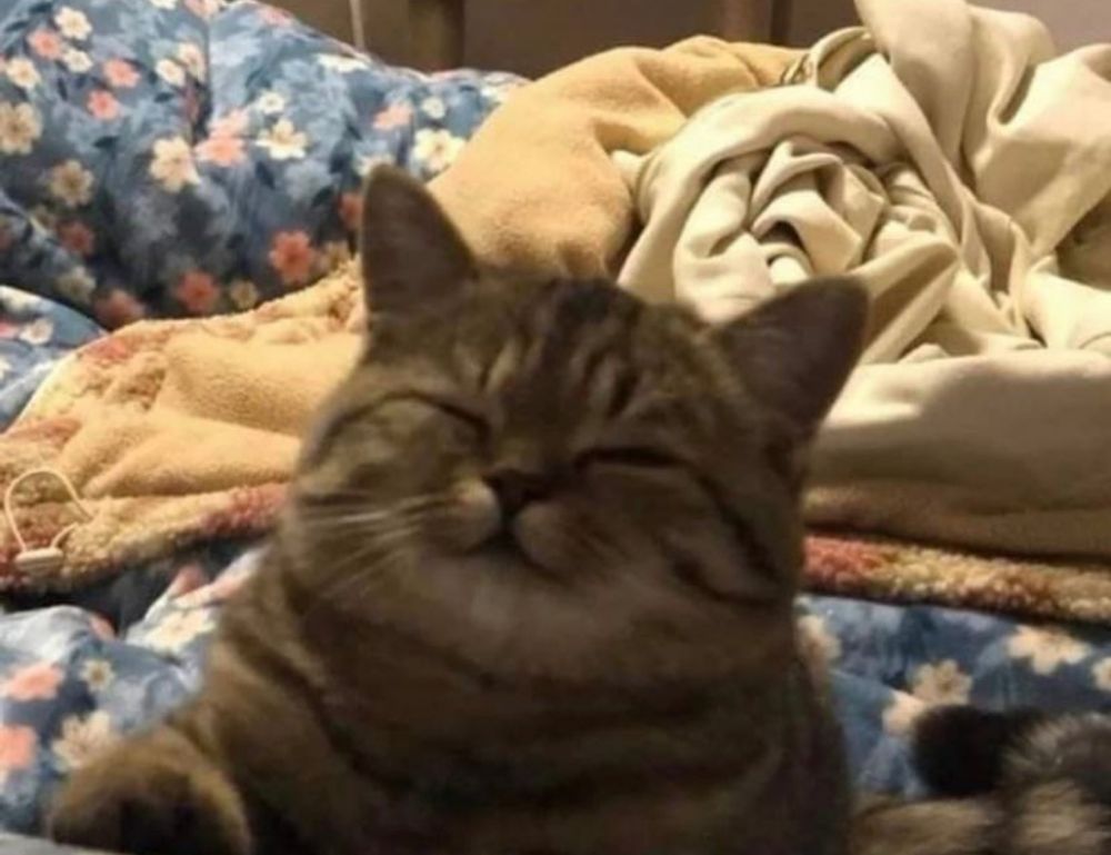 what is the best looking game grollgoza on pc