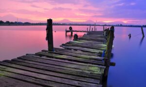 why do paintings sell for so much arcachdir