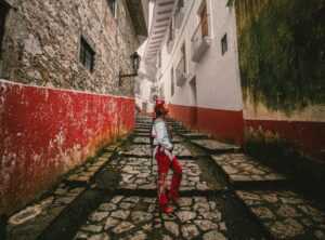 musicdownloaded portada del álbum