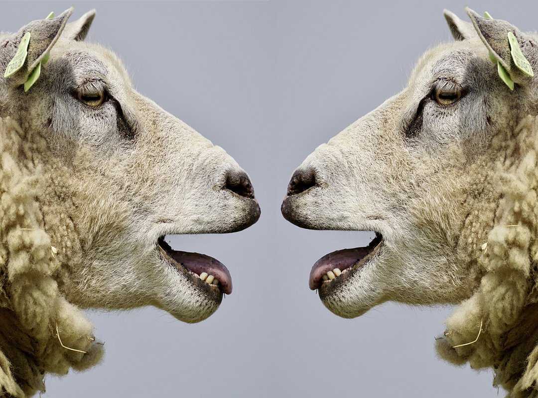 What Is Logo Symbol Flpemblemable