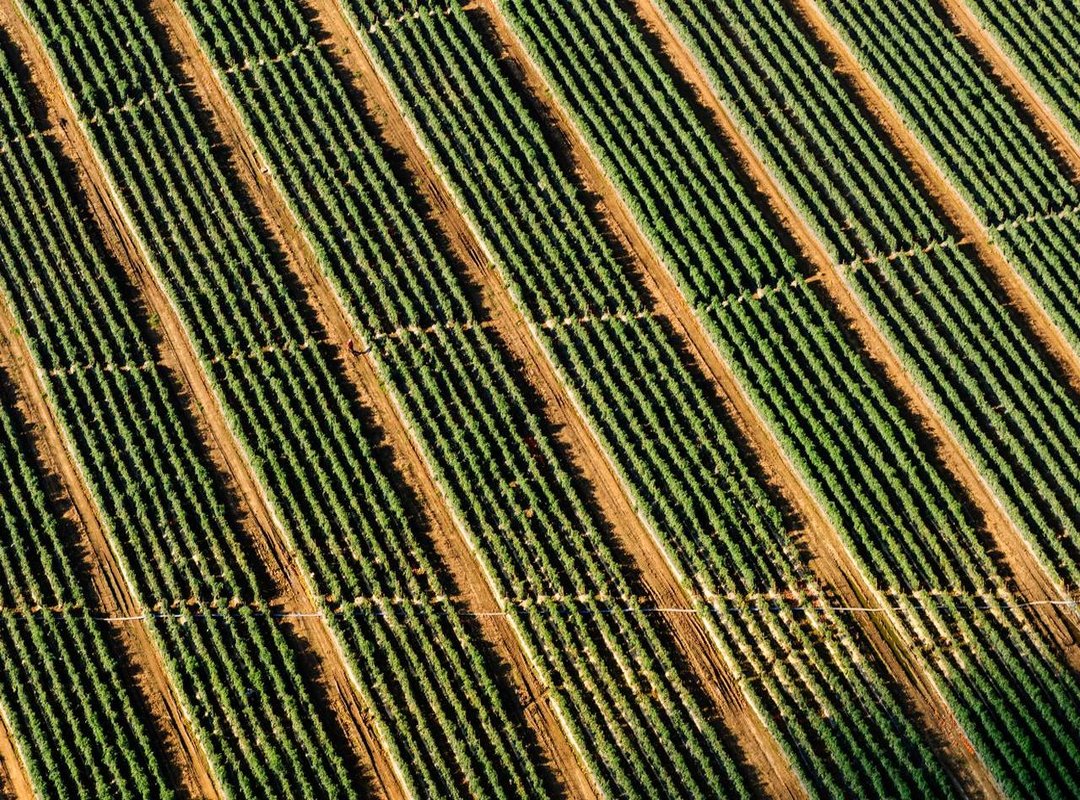 The Simple Math: How to Convert MPH to KM/H Step-by-Step