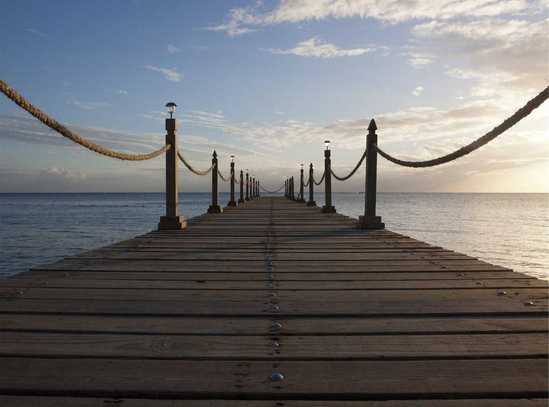 The Physical Demands of Acting: A Look at Preparation for Roles