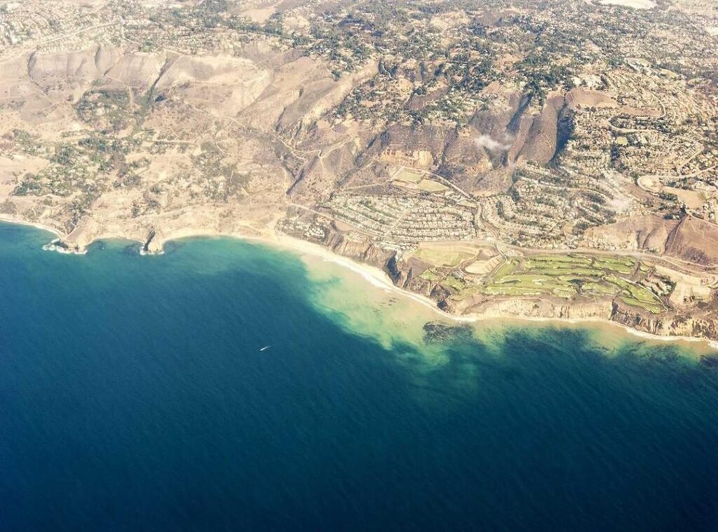 biascope download.co