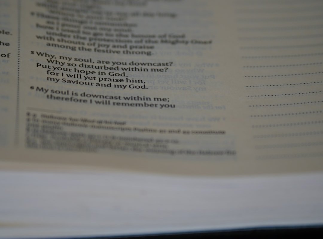 Answering Your Questions About the Song