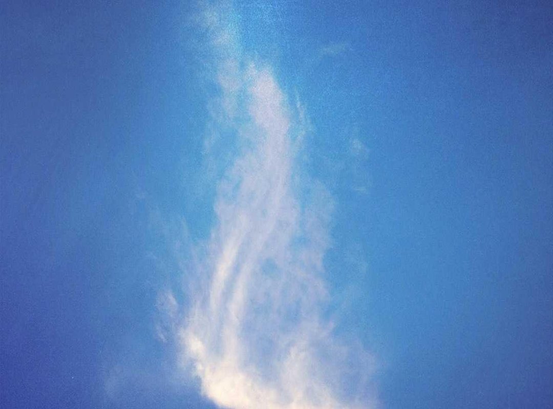 The Nowzaradan Children: A Look at Their Family