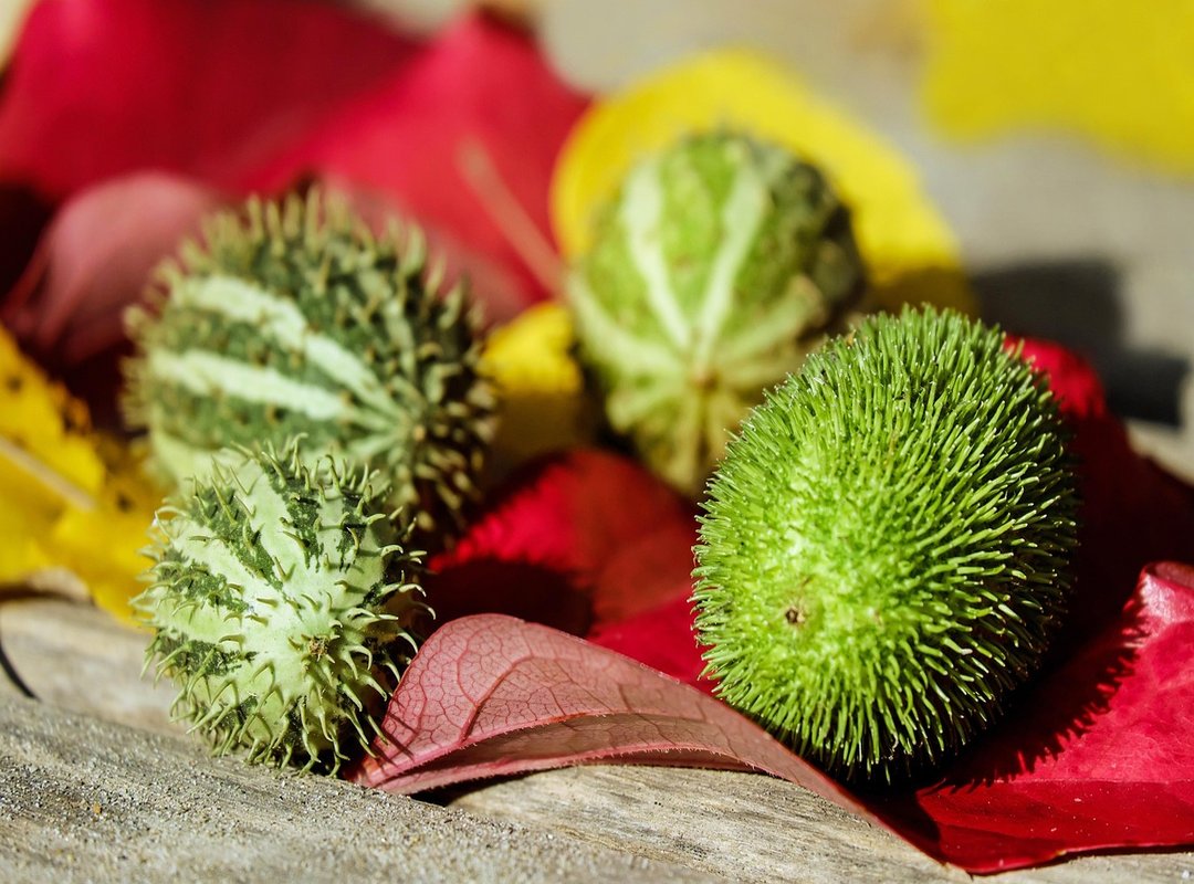 Tips for Sending Your GIF for the Biggest Impact