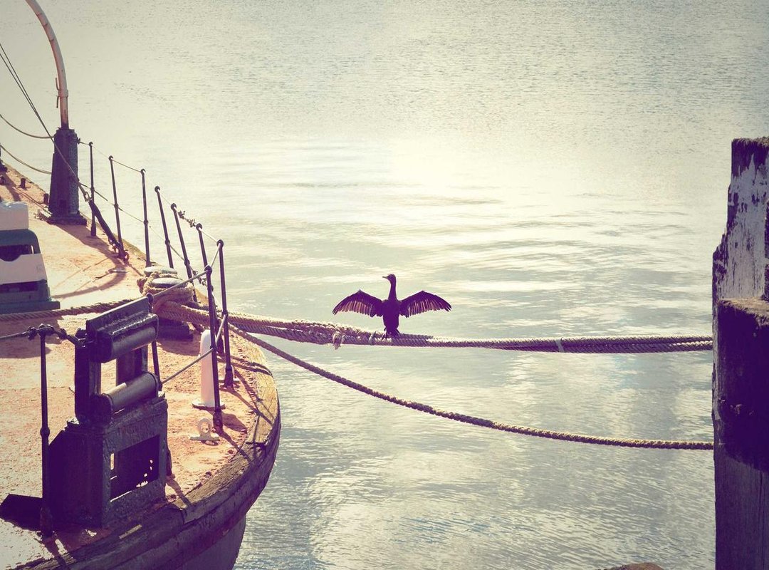 Installation Insights: Peel-and-Stick vs. Traditional Paste