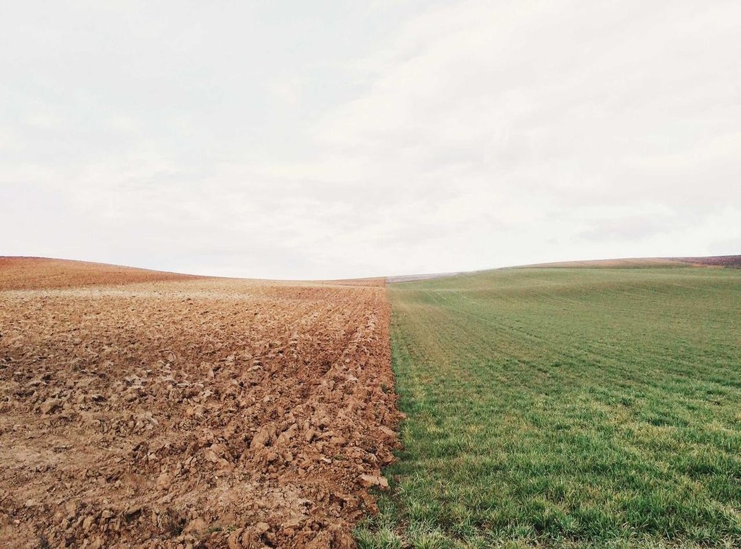 The Key Benefits: Is This Telegram Channel Right for You?