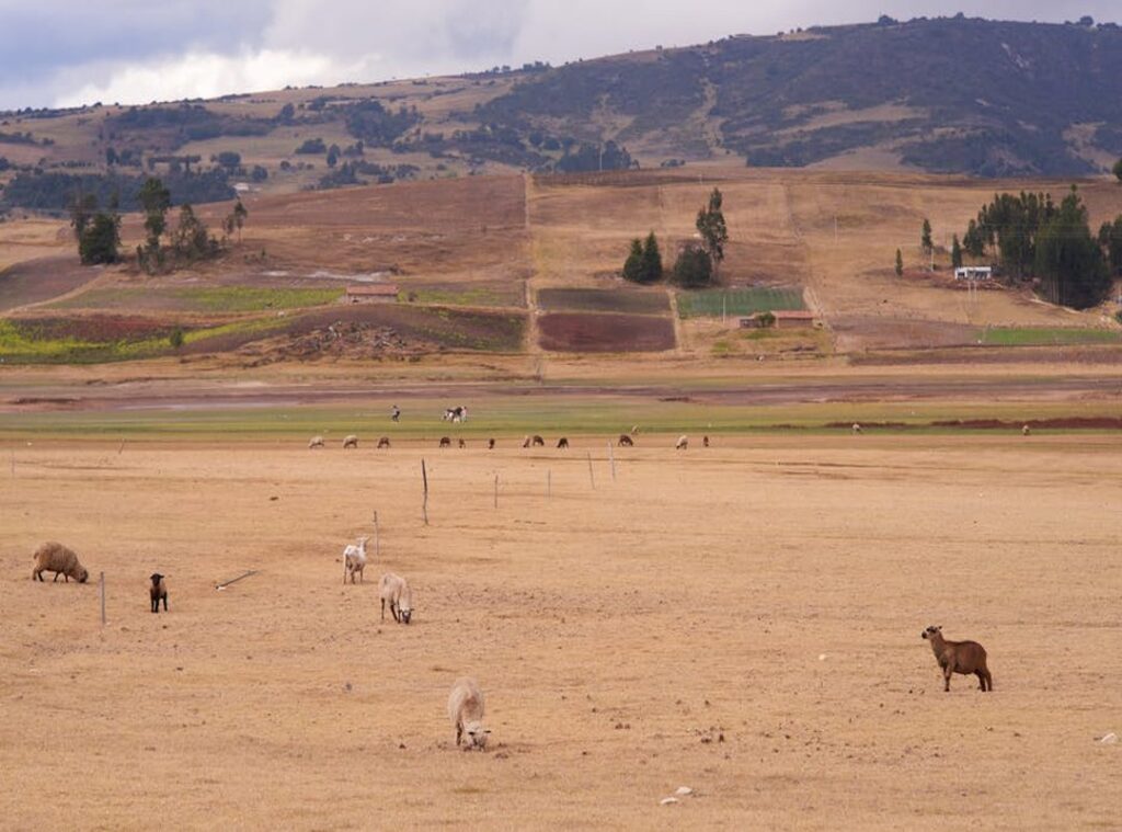 picsart toca boca skin